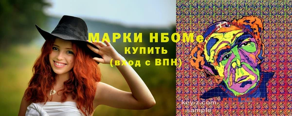твердый Осинники