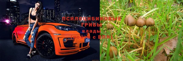 твердый Осинники